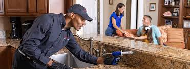Best Stone Veneer Siding  in Drain, OR
